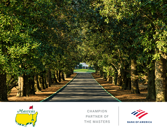 Sunlight filters through the magnolias of the iconic Magnolia Lane