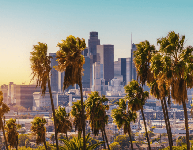 A view of downtown Los Angeles California with palm trees in the foreground