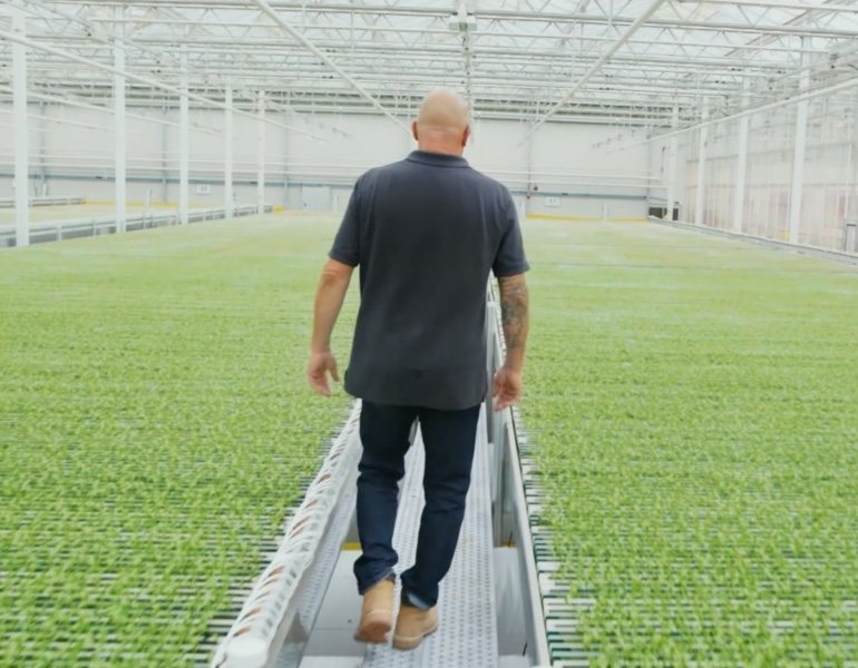 man walking through greenhouse