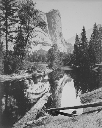 Mountain cliff reflected in a river among tall trees.