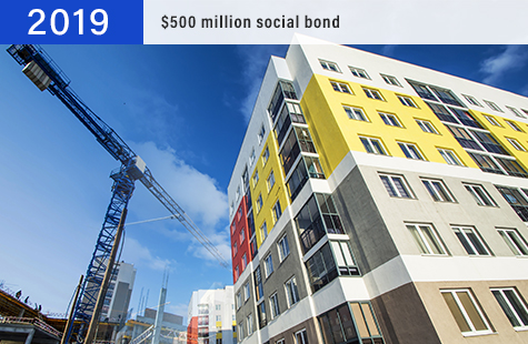 2019 $500 million social bond