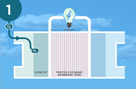A fuel cell (labeled as “catalyst”), “proton exchange membrane (PEM),” and “circuit,” are pictured under a lightbulb with a water droplet as the filament. The background is the sky. At the top left is a “1,” signifying step one in the process, with arrows showing Hydrogen gas (H2) entering the fuel cell. Text, “Hydrogen gas (H2) enters the fuel cell,” is written as a description of this step.