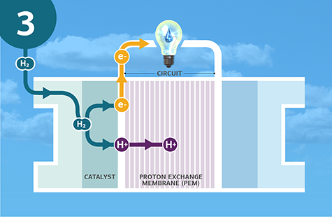 A fuel cell (labeled as “catalyst”), “proton exchange membrane (PEM),” and “circuit,” are pictured under a lightbulb with a water droplet as the filament. The background is the sky. At the top left is a “3,” signifying step three in the process, showing positive “H+” particles entering the PEM and negative “e” particles pushed through a circuit. Text, “A special membrane lets the positive particles (H+) pass through, but not the negative ones (e-)—which forces them through a circuit,” is written as a description of this step.