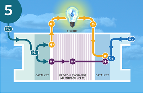 A fuel cell (labeled as “catalyst”), “proton exchange membrane (PEM),” and “circuit,” are pictured under a lightbulb with a water droplet as the filament. The background is the sky. At the top left is a “5,” signifying step five in the process, showing the positive (“H+”) and negative (“e-”) particles reuniting in the fuel cell. Oxygen (“O2”) is introduced. Text, “The positive and negative particles reunite in the fuel cell and oxygen is introduced,” is written as a description of this step.