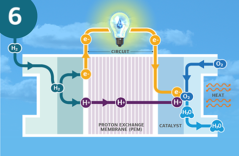 A fuel cell (labeled as “catalyst”), “proton exchange membrane (PEM),” and “circuit,” are pictured under a lightbulb with a water droplet as the filament. The background is the sky. At the top left is a “6,” signifying the last step in the process, showing the positive (“H+”) and negative (“e-”) particles bonding with oxygen (“O2”) to form water (“H2O”). The H2O particles exit the fuel cell and the squiggly arrows outside the fuel cell represent the emission of “heat.” Text, “The particles bond with oxygen to form water. Water vapor and warm air are the only emissions produced,” is written as a description of this step.