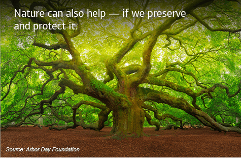 Nature can also help — if we preserve and protect it. Source: Arbor Day Foundation.