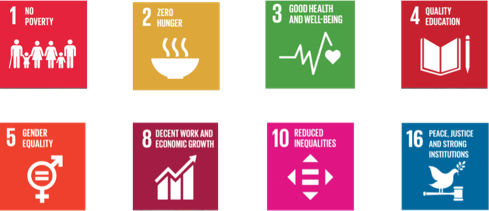 Infographic with eight icons about inclusive development