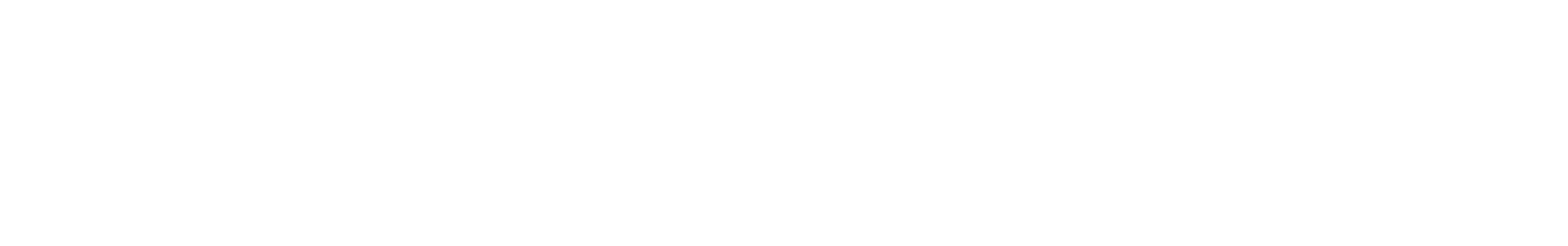 Bank of America Chicago Distance Series logo