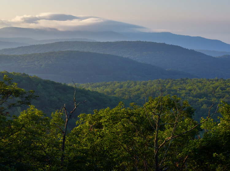 Charlottesville landscape