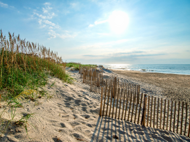 Coastal North Carolina dunes and shoreline.