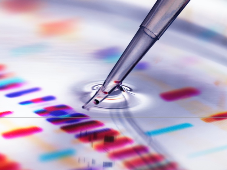 Pipette adding sample to petri dish with DNA profiles in background