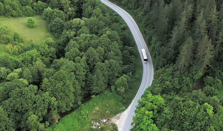 A winding road through a forest