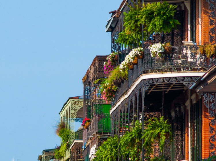 French Quarter building balconies with plants