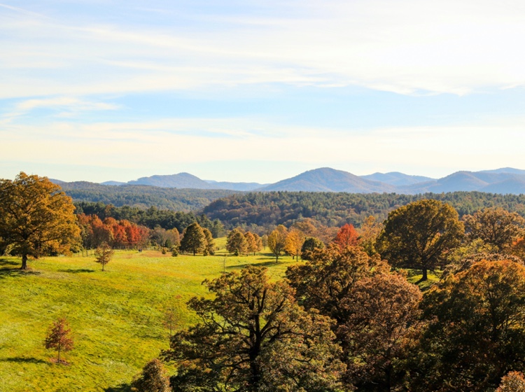 Asheville landscape