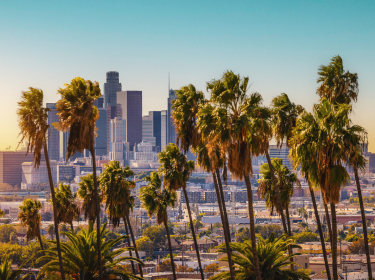A view of downtown Los Angeles California with palm trees in the foreground