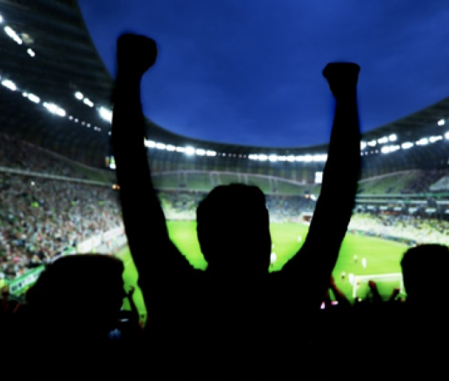 A fan raising his arms to celebrate a goal at a soccer match