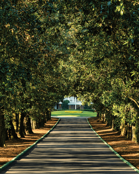 Magnolia Lane at Augusta National Golf Course