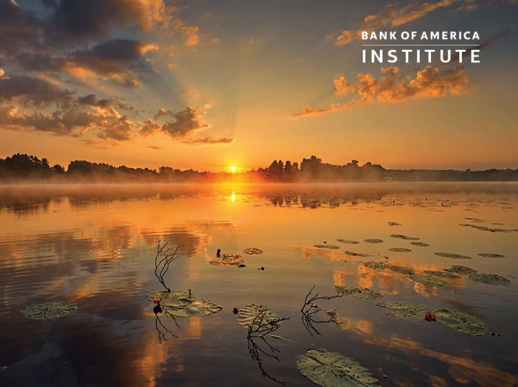 Sunsets over a lake with lily pads