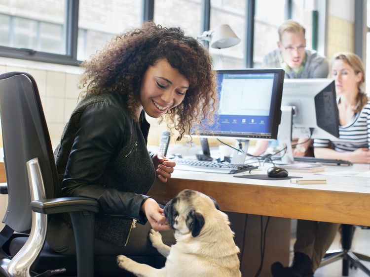 Woman petting dog in office