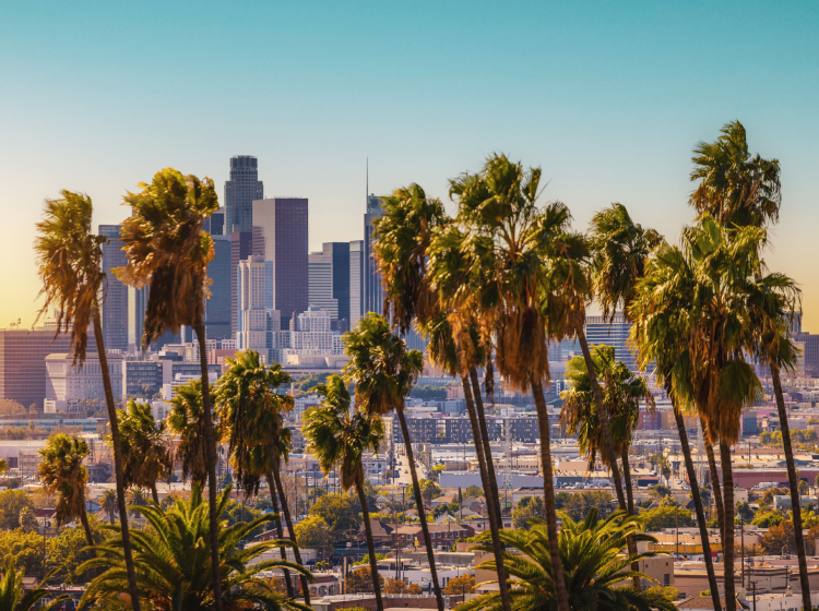 A view of downtown Los Angeles California with palm trees in the foreground