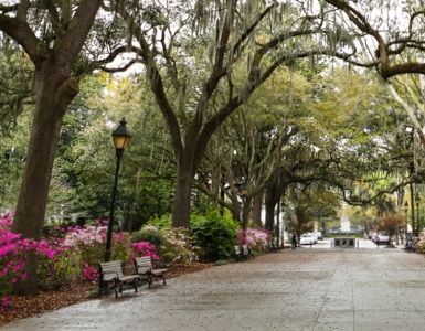 Savannah walkway