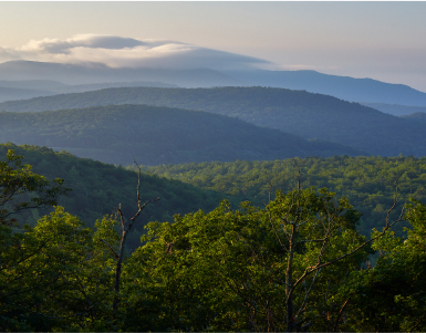 Charlottesville landscape