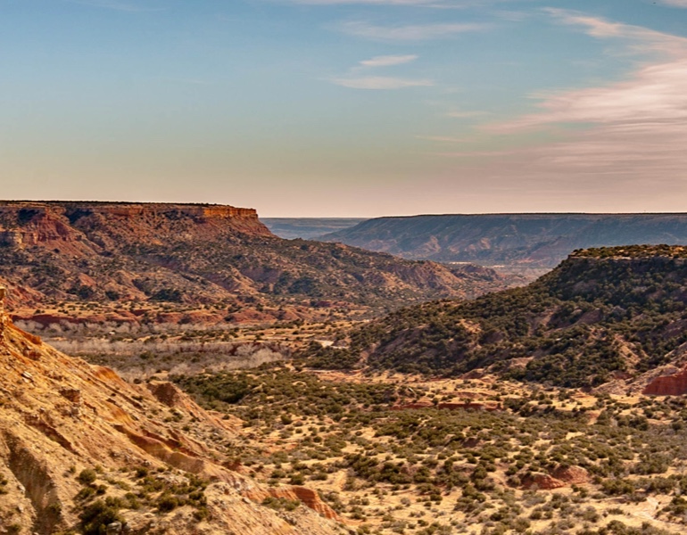 Amarillo Landscape