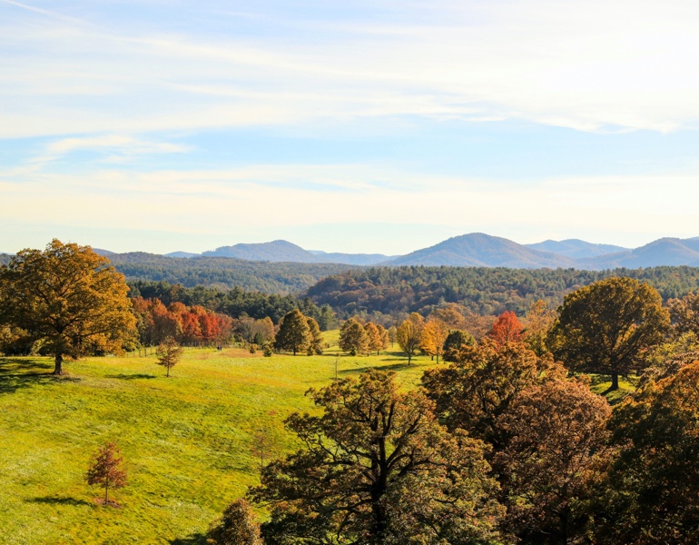 Asheville landscape