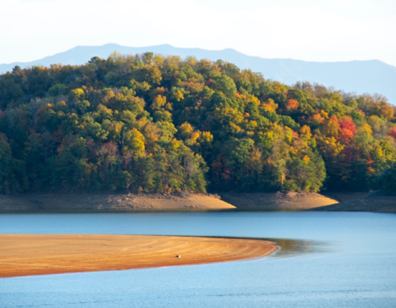 Knoxville forest and lake