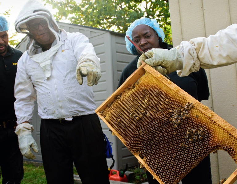 Beekeepers showing a honeybee hives to other 2 workers.
