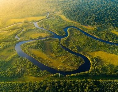 Pantanal preservation